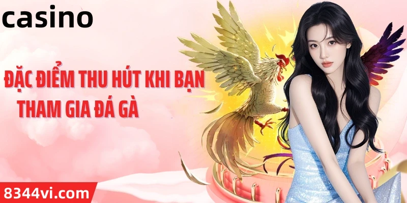 Hình ảnh quảng cáo của k8cc hiển thị nền tảng và các lợi ích